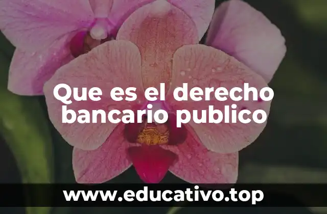 Que es el derecho bancario publico