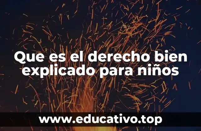 Que es el derecho bien explicado para niños