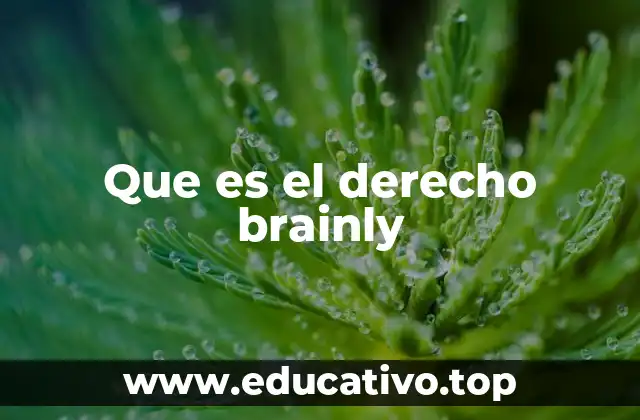 La plataforma Brainly y su impacto en el aprendizaje
