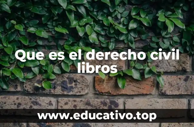 Que es el derecho civil libros