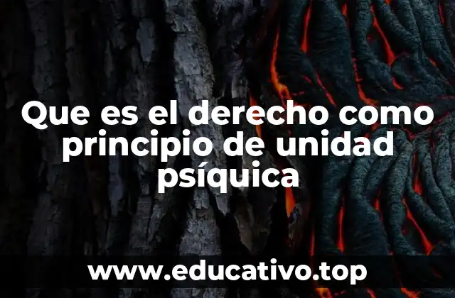 Que es el derecho como principio de unidad psíquica