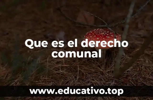 Que es el derecho comunal