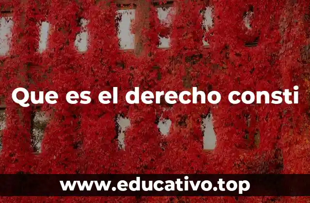 Que es el derecho consti