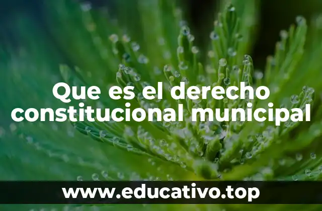 Que es el derecho constitucional municipal