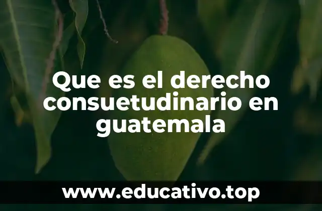 Que es el derecho consuetudinario en guatemala