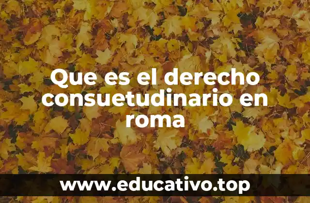 Que es el derecho consuetudinario en roma