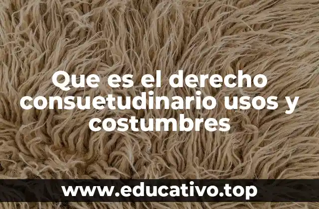 Que es el derecho consuetudinario usos y costumbres