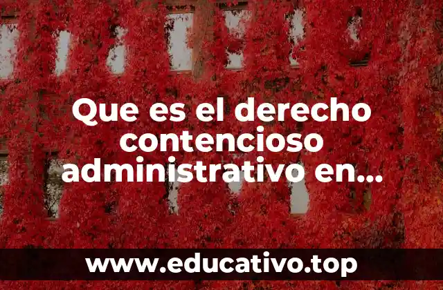 El equilibrio entre el poder estatal y los ciudadanos