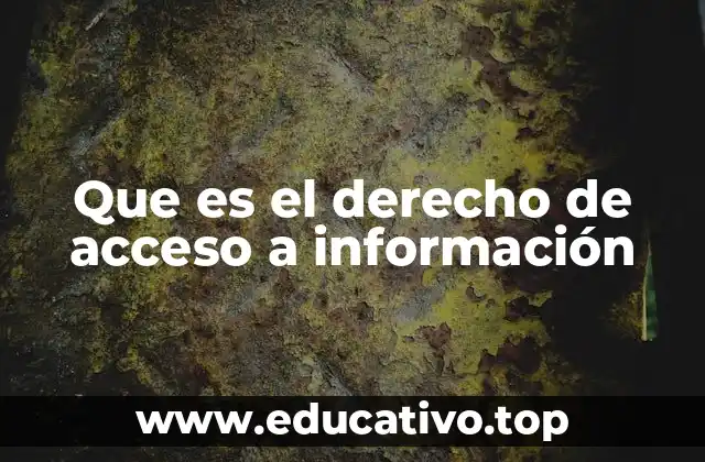 Que es el derecho de acceso a información