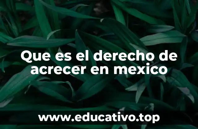 Que es el derecho de acrecer en mexico