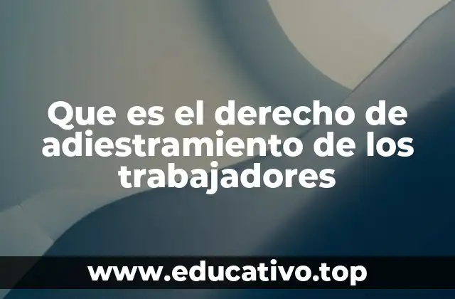 Que es el derecho de adiestramiento de los trabajadores