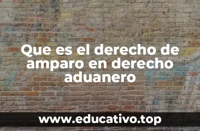 Que es el derecho de amparo en derecho aduanero