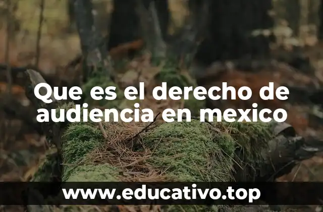 Que es el derecho de audiencia en mexico