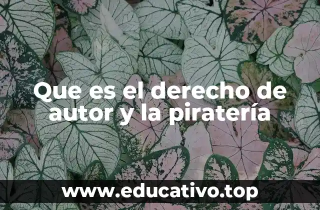 Que es el derecho de autor y la piratería