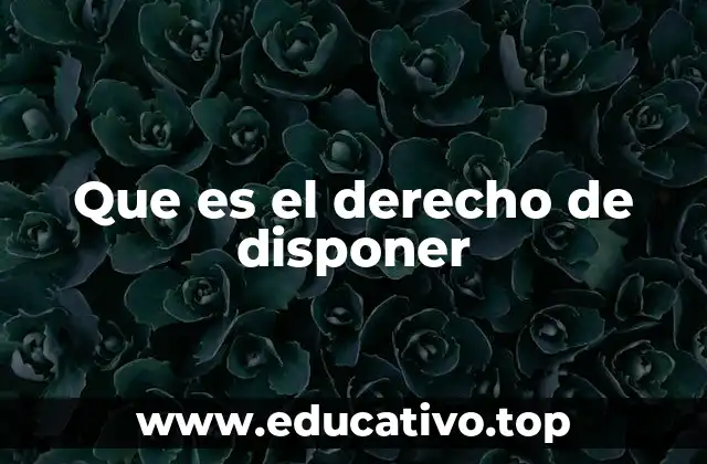 Que es el derecho de disponer