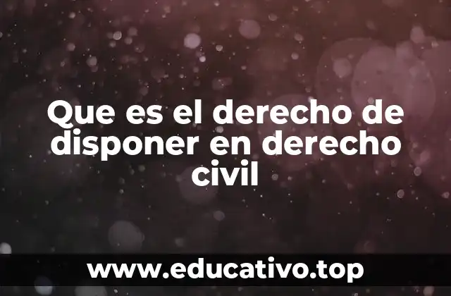 Que es el derecho de disponer en derecho civil