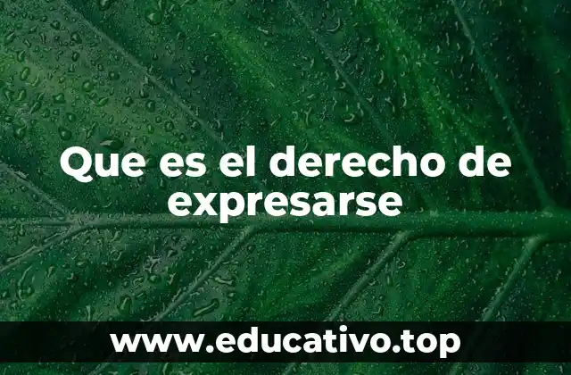 Que es el derecho de expresarse