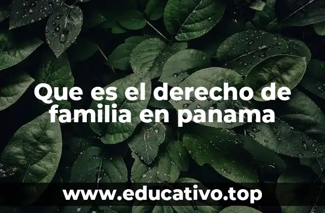 Que es el derecho de familia en panama