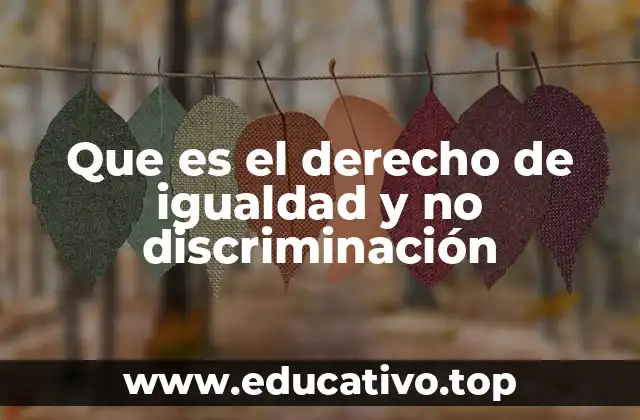 Que es el derecho de igualdad y no discriminación