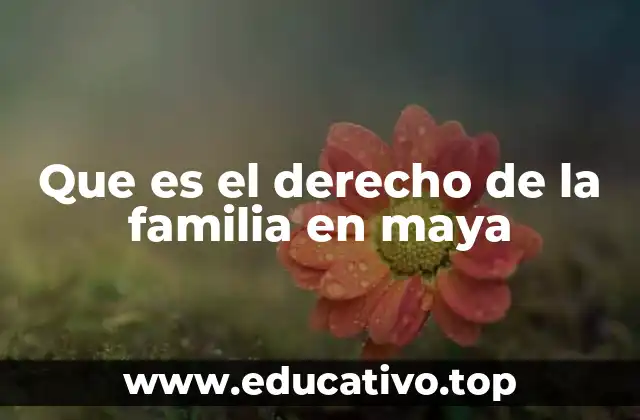 Que es el derecho de la familia en maya