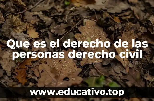 Que es el derecho de las personas derecho civil