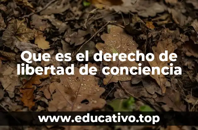 Que es el derecho de libertad de conciencia