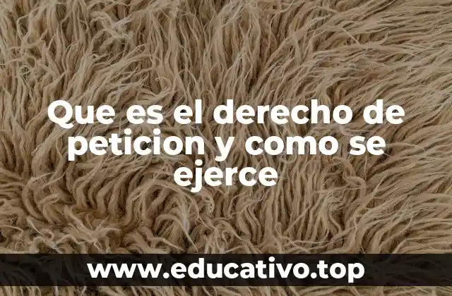 Que es el derecho de peticion y como se ejerce