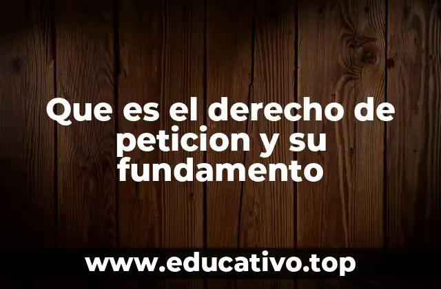 Que es el derecho de peticion y su fundamento