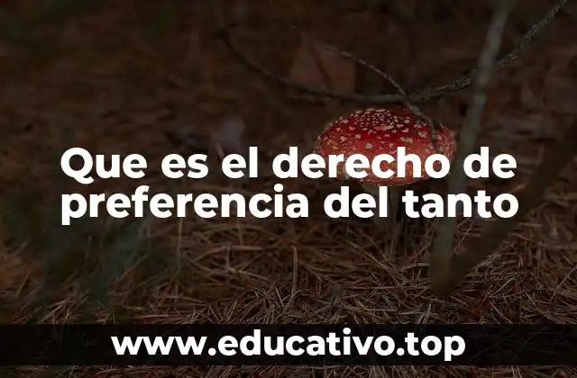 Que es el derecho de preferencia del tanto