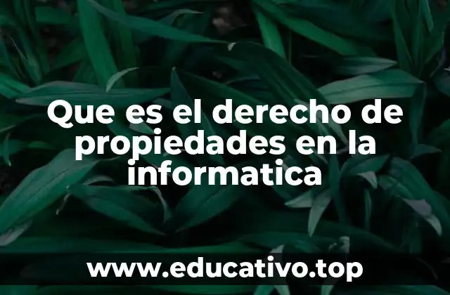 Que es el derecho de propiedades en la informatica