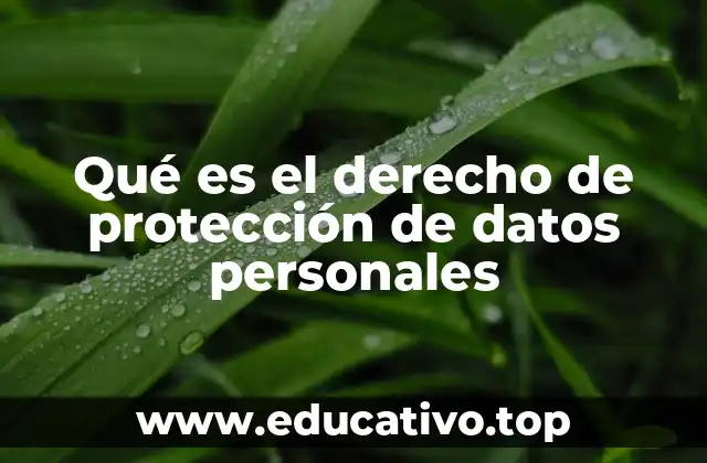 Qué es el derecho de protección de datos personales