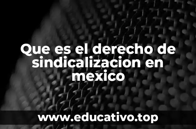Que es el derecho de sindicalizacion en mexico