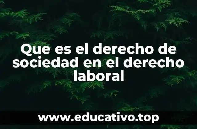 La regulación laboral en empresas estructuradas como sociedades