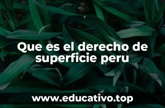 Que es el derecho de superficie peru