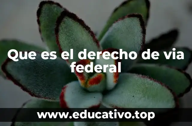 Que es el derecho de via federal