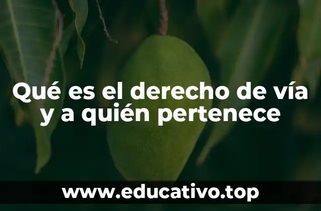 Qué es el derecho de vía y a quién pertenece