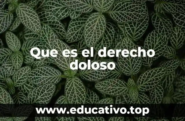 Que es el derecho doloso