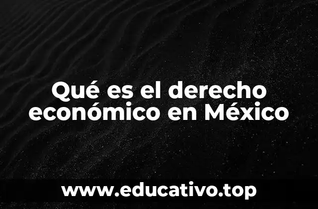 Qué es el derecho económico en México
