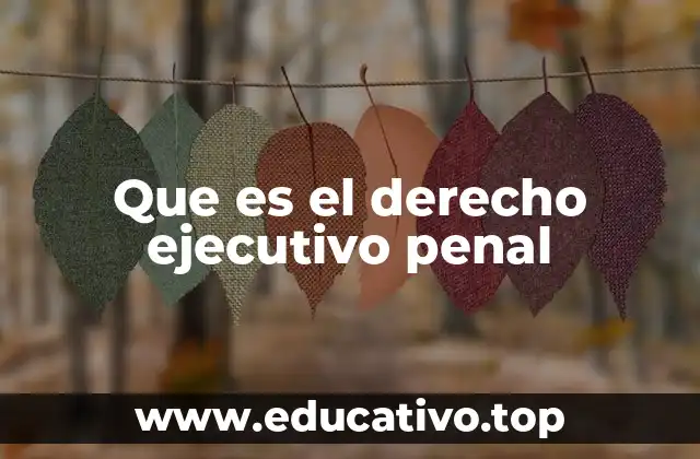 Que es el derecho ejecutivo penal