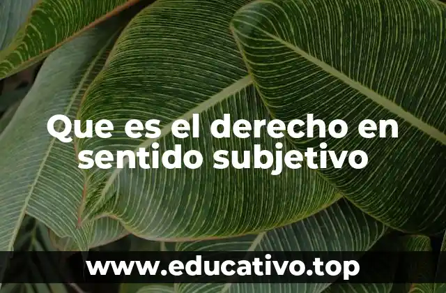 Que es el derecho en sentido subjetivo