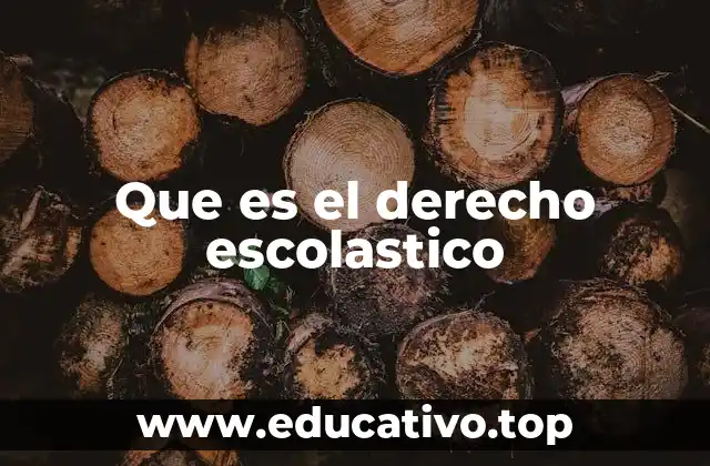 Que es el derecho escolastico