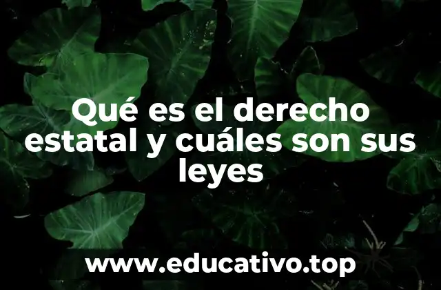 Qué es el derecho estatal y cuáles son sus leyes