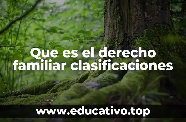 Que es el derecho familiar clasificaciones