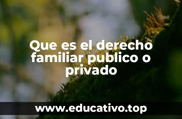 Que es el derecho familiar publico o privado