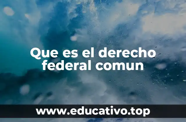 Que es el derecho federal comun