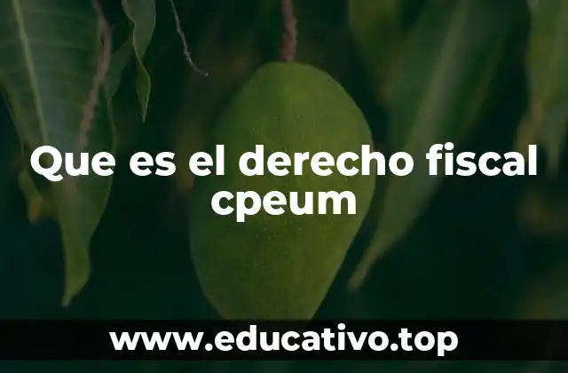 Que es el derecho fiscal cpeum