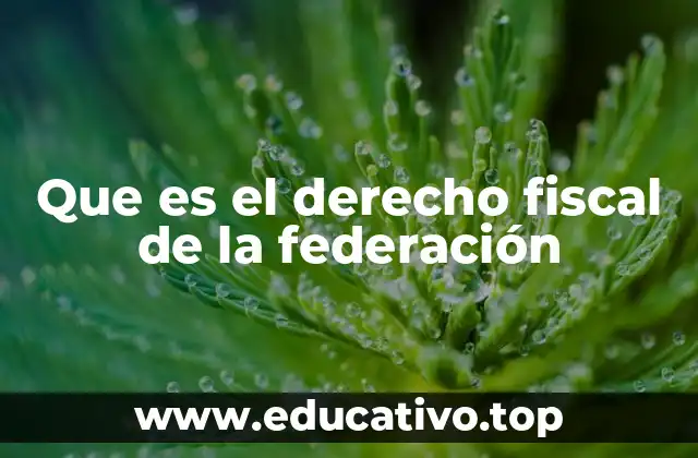Que es el derecho fiscal de la federación
