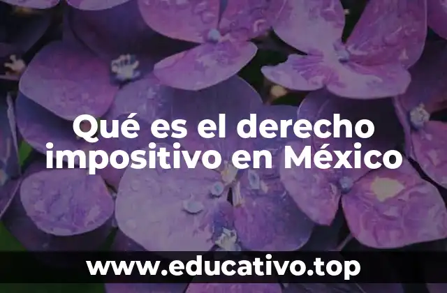 Qué es el derecho impositivo en México