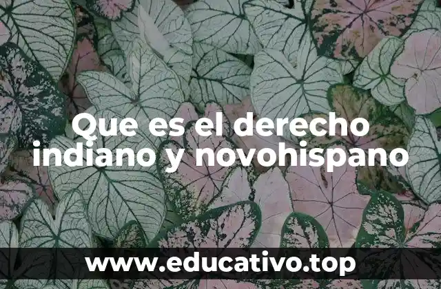 Que es el derecho indiano y novohispano