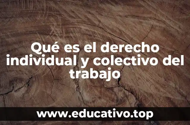 Qué es el derecho individual y colectivo del trabajo